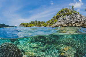 Austrlia